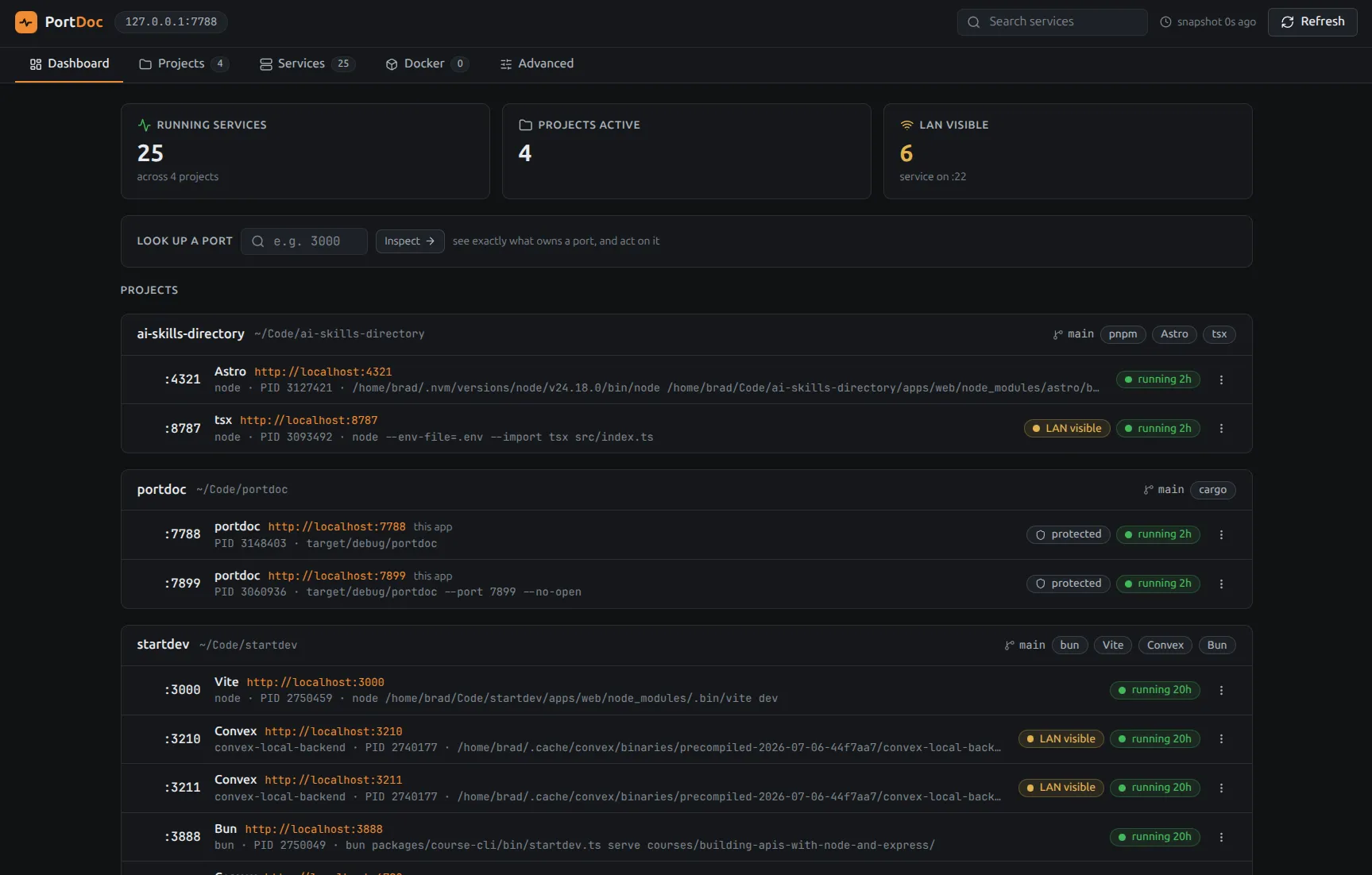 PortDoc dashboard showing 25 running services across four projects with port lookup and grouped project rows